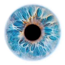 Interfaccia WellScanLife – Piattaforma WebWellness